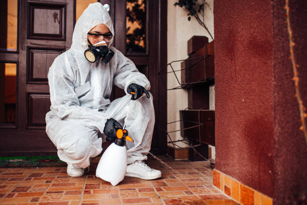 Attic and Crawl Space Rodent Treatment in Bear Rocks